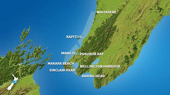 Marine Recreational Forecasts - Levin